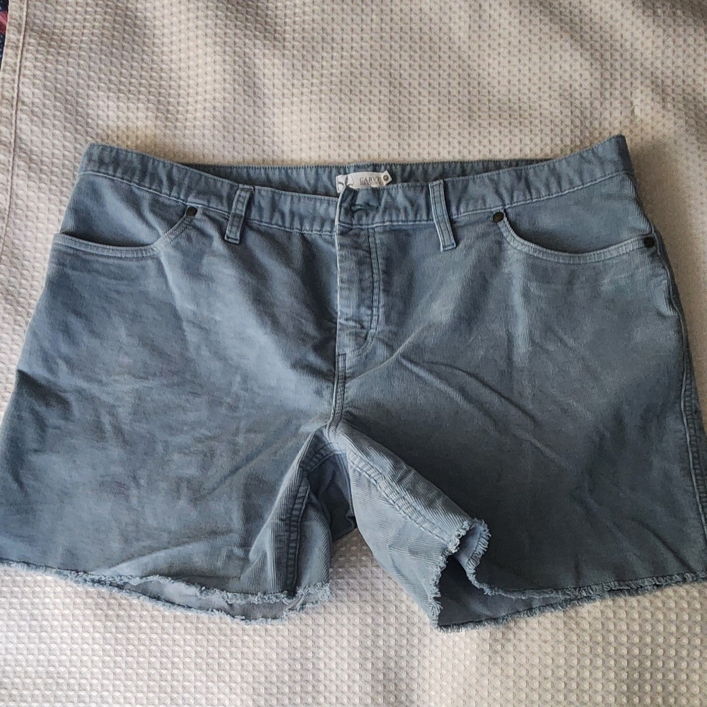 Carve Designs Sky Blue Shorts